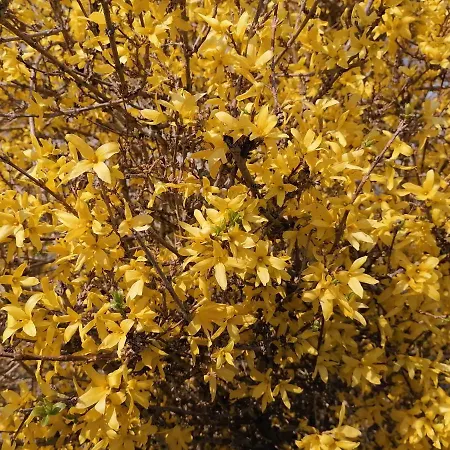 Bed and Breakfast Hobo 4*