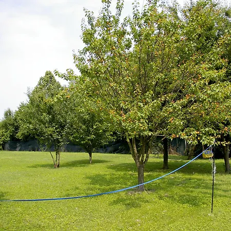 Bed and Breakfast Hobo