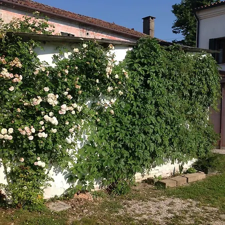 Bed and Breakfast Hobo