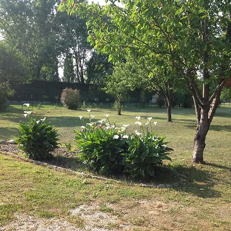 Hobo Bed and Breakfast