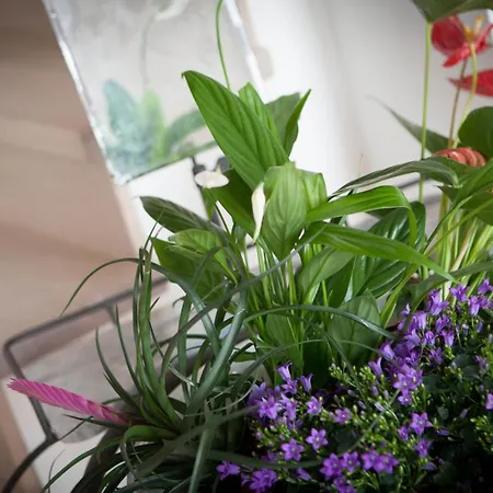 Bed and Breakfast Hobo 4*